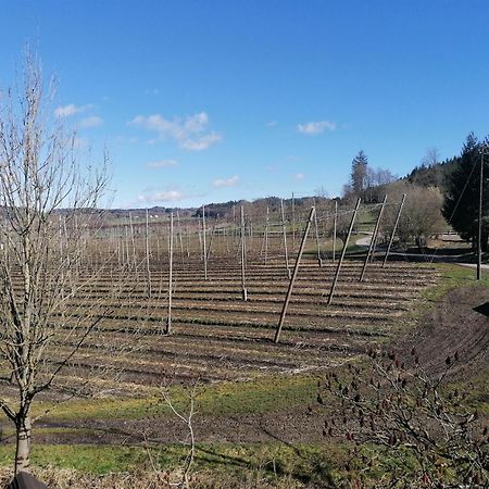 Ferienhof Hopfgaertle Mueller Bodnegg Exterior foto