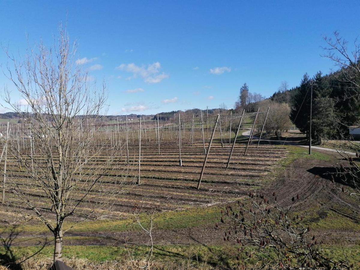 Ferienhof Hopfgaertle Mueller Bodnegg Cameră foto