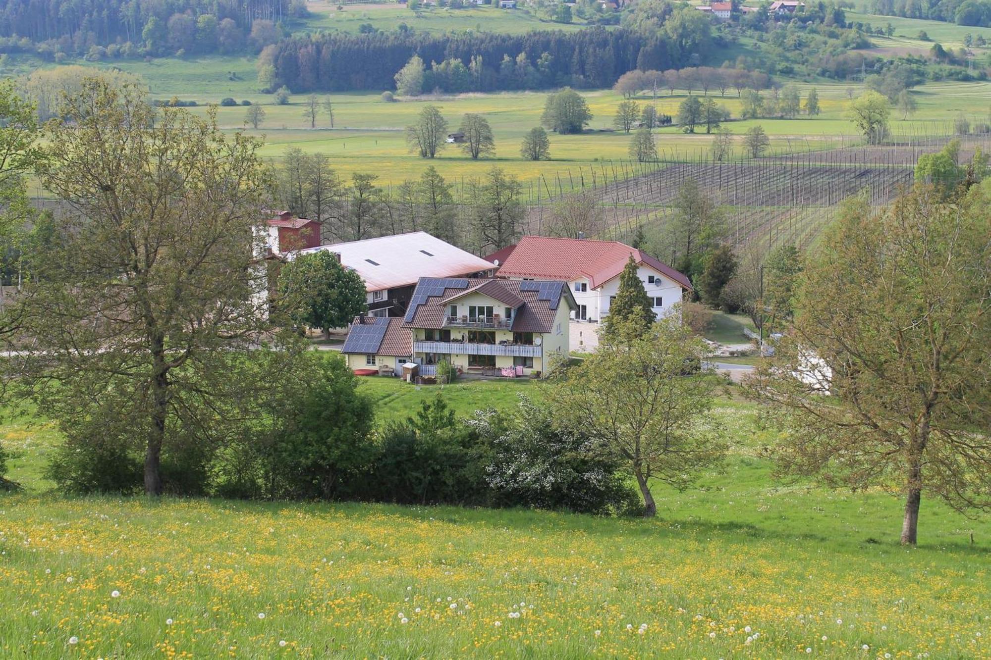Ferienhof Hopfgaertle Mueller Bodnegg Exterior foto