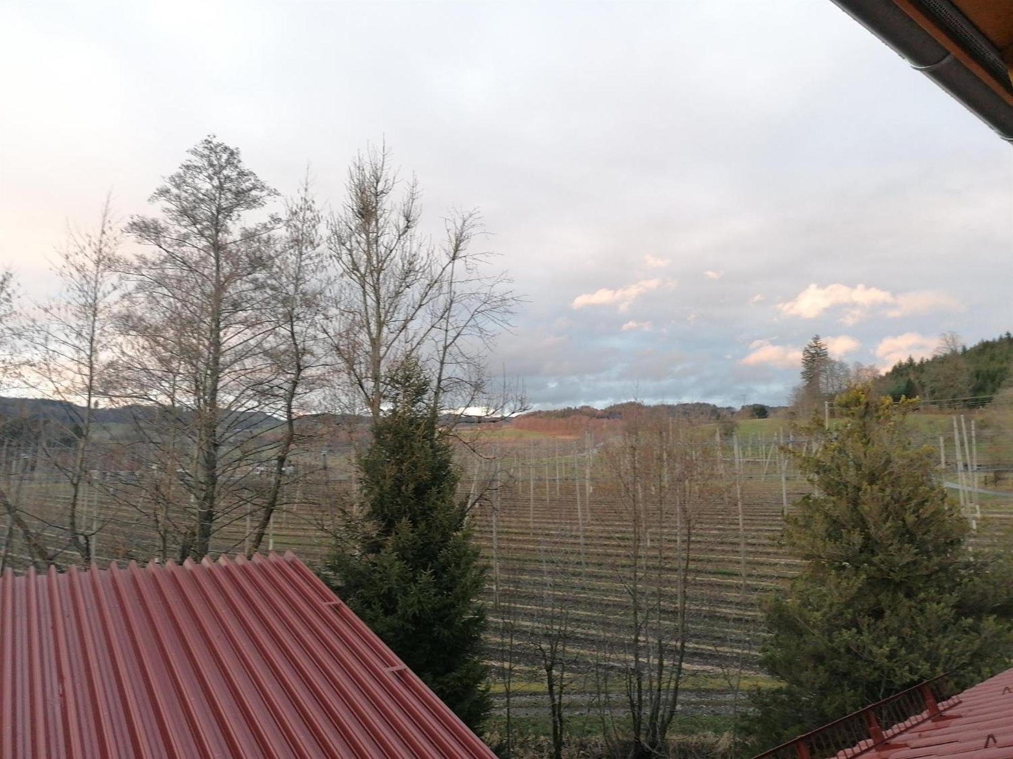 Ferienhof Hopfgaertle Mueller Bodnegg Cameră foto